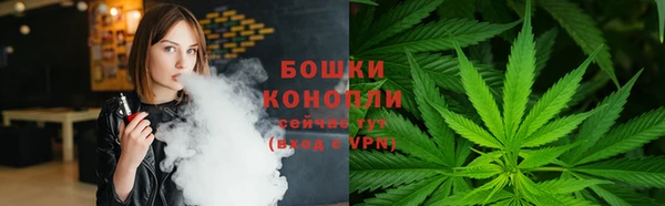 эйфоретик Инсар