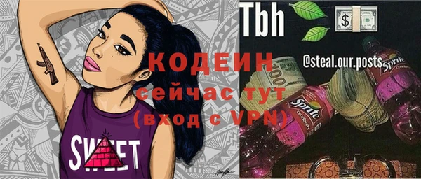 эйфоретик Инсар