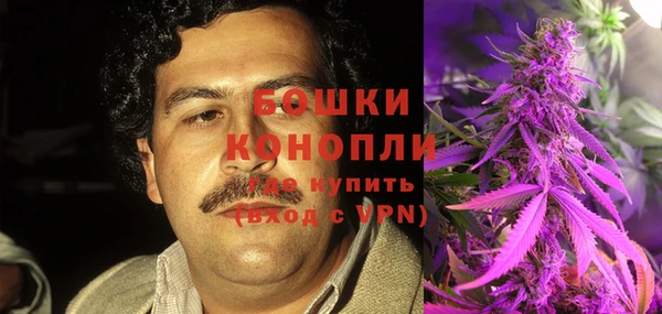 эйфоретик Инсар
