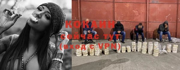 эйфоретик Инсар