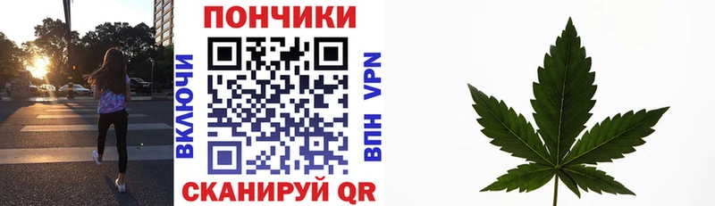 Купить  Североморск  Канабис MAZAR 